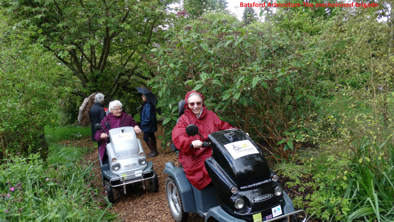 batsford-arboretum-12_0