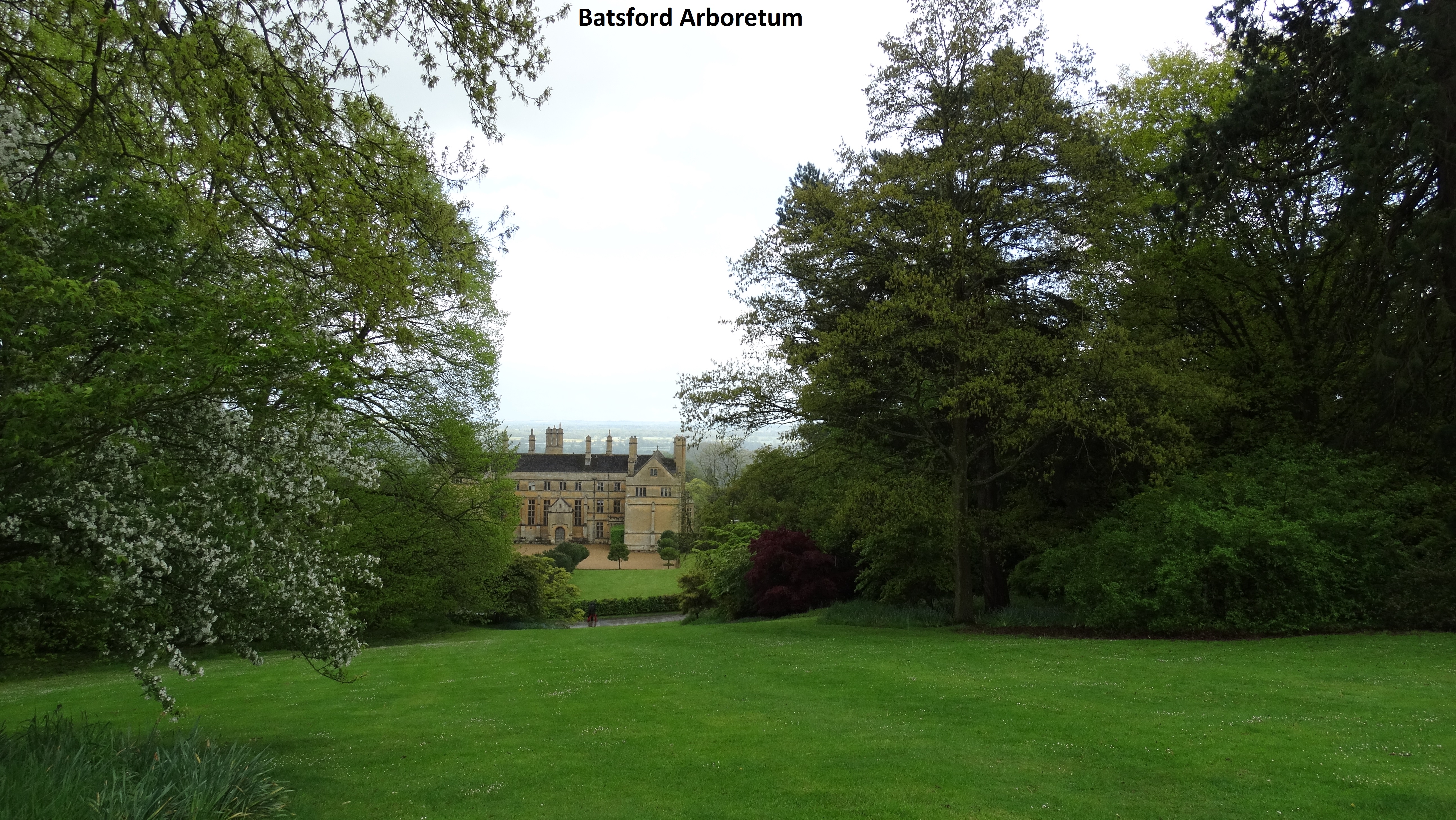 batsford-arboretum-14