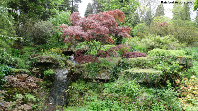 batsford-arboretum-4_0