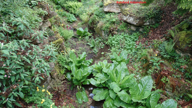 batsford-arboretum-5