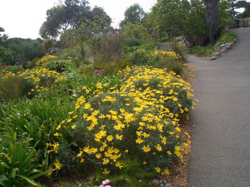 isle-of-wight-may-2013-100