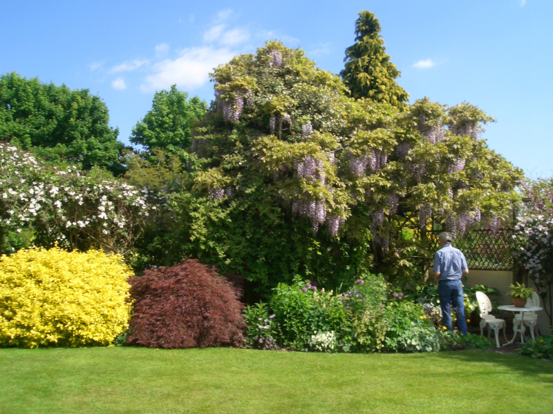 isle-of-wight-may-2013-114