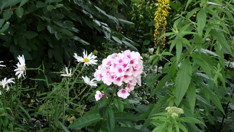 co-durham-helmingham-gardens-050