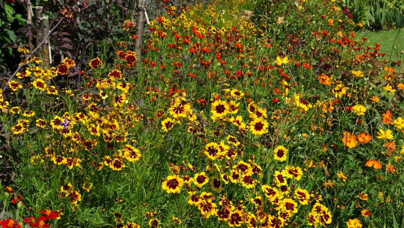 co-durham-helmingham-gardens-067