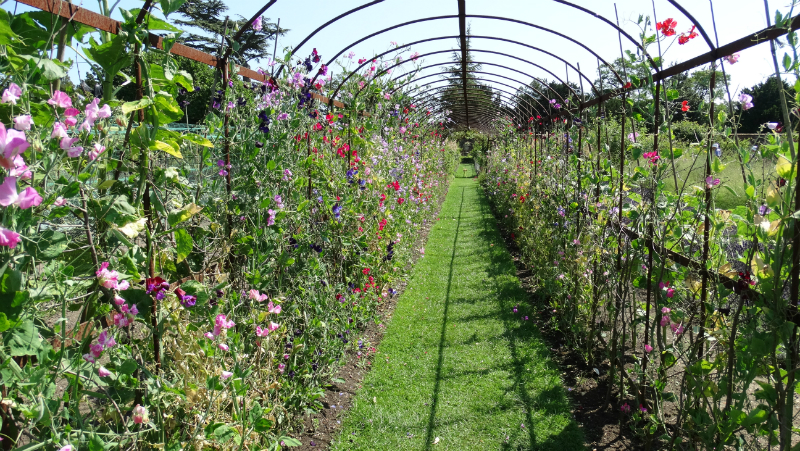 co-durham-helmingham-gardens-068