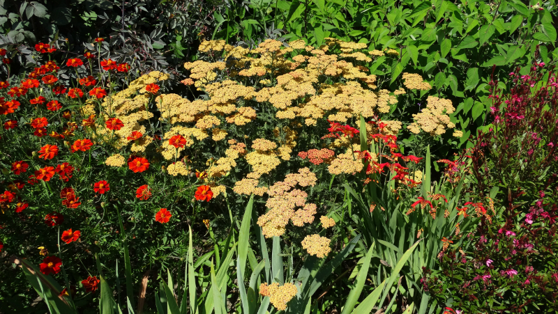 co-durham-helmingham-gardens-069