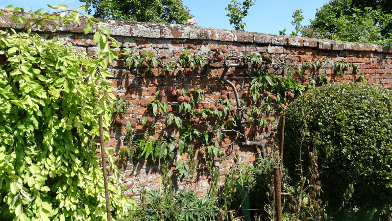 co-durham-helmingham-gardens-070