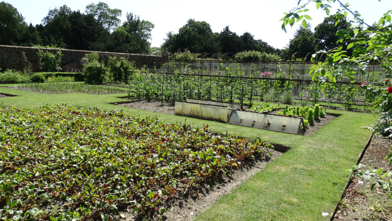 co-durham-helmingham-gardens-073